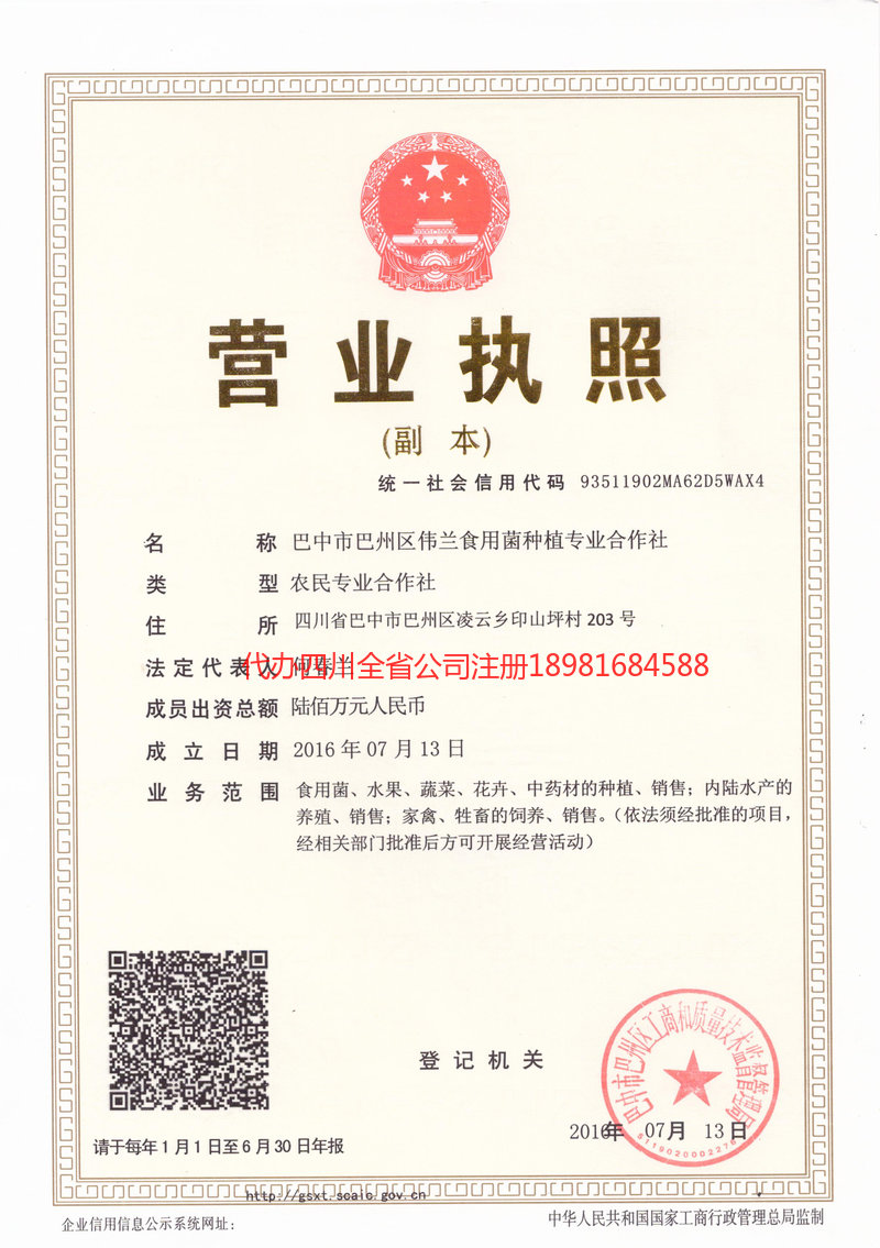 呼伦贝尔呼伦贝尔伟兰食用菌种植专业合作社